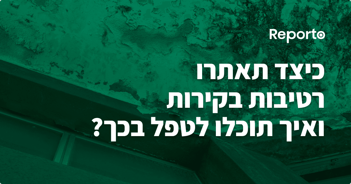 כיצד תאתרו רטיבות בקירות ואיך תוכלו לטפל בכך?