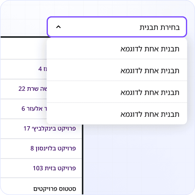נכנס לאפליקציה ומזין את פרטי הנכס הנבדק