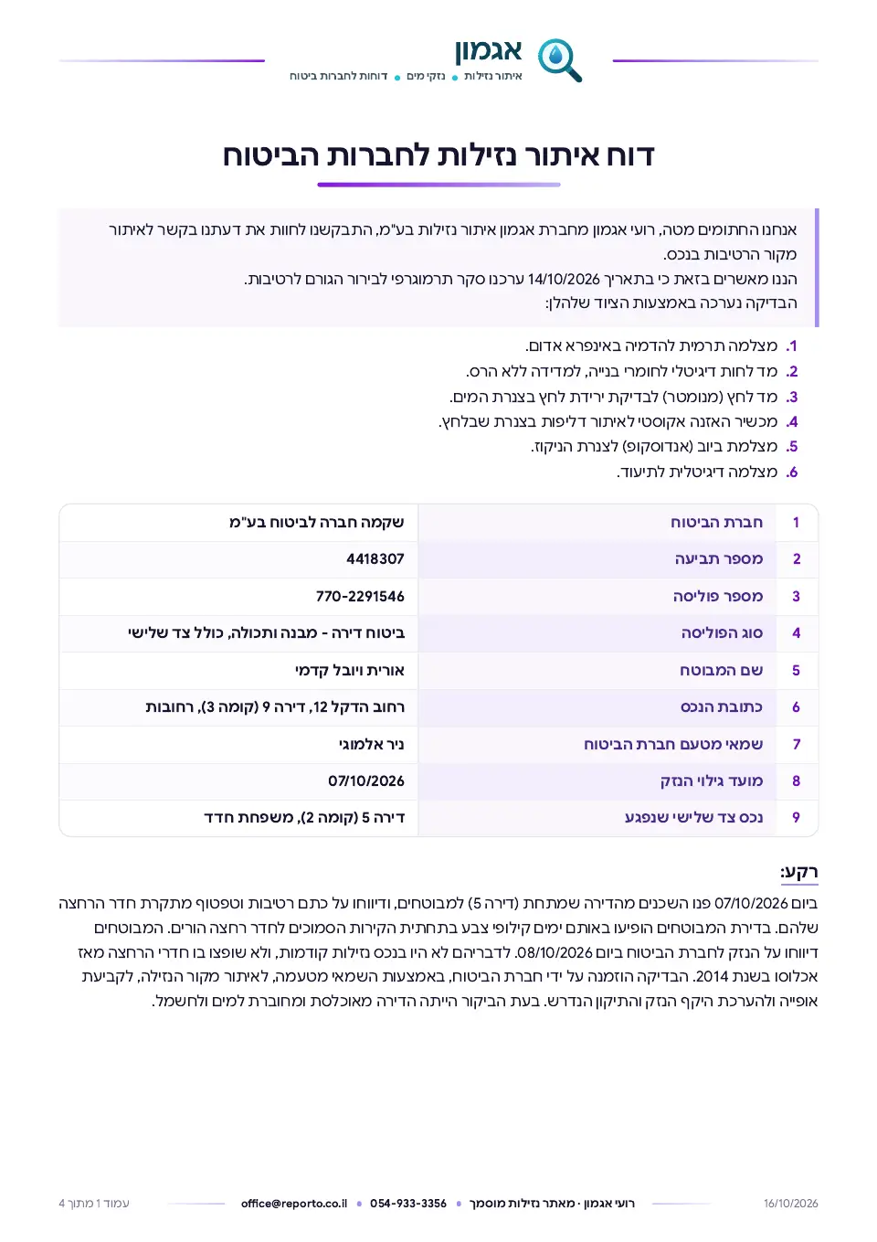 דוח איתור נזילות לחברות הביטוח, עמוד 1 מתוך 4