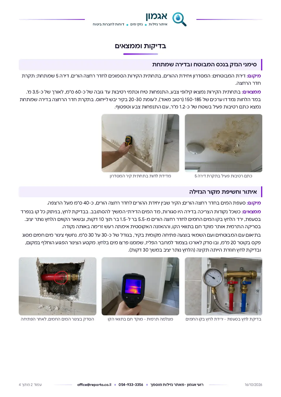 דוח איתור נזילות לחברות הביטוח, עמוד 2 מתוך 4