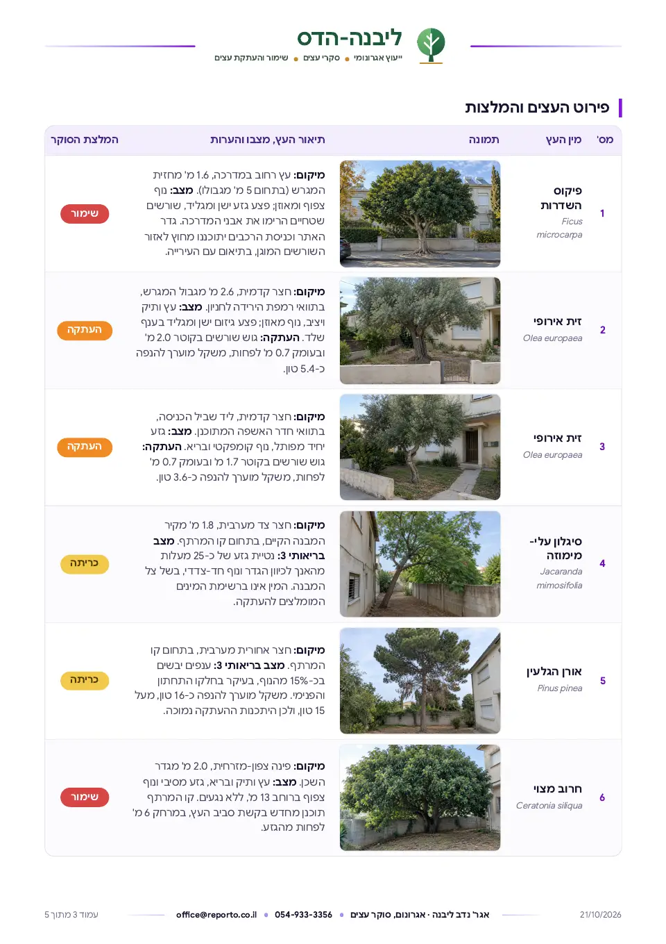 סקר עצים לבקשה להיתר, עמוד 3 מתוך 5