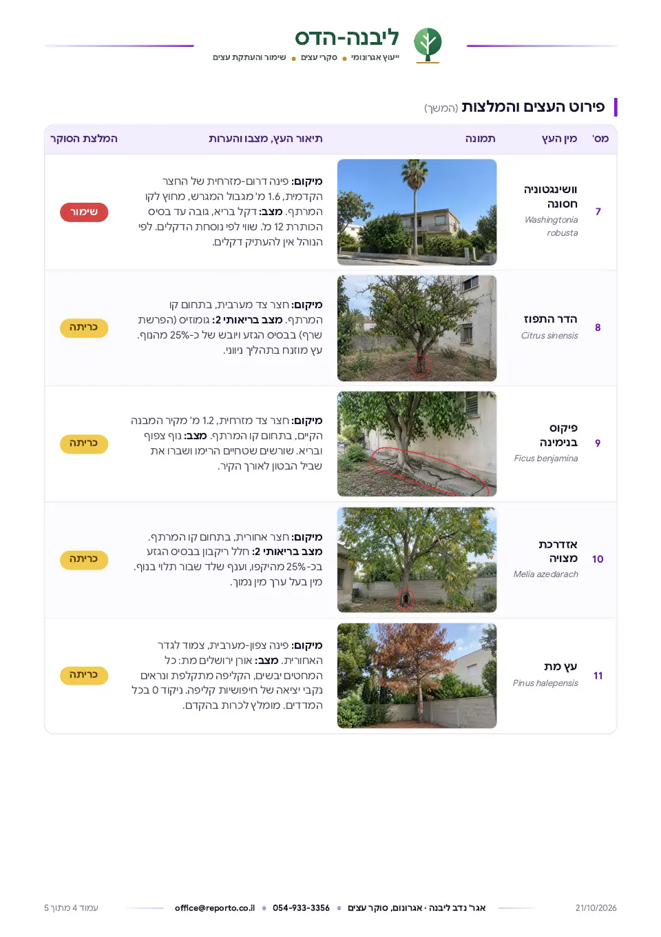 סקר עצים לבקשה להיתר, עמוד 4 מתוך 5